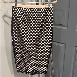 Elizabeth and James Black Net Pencil Skirt over Nude Slip